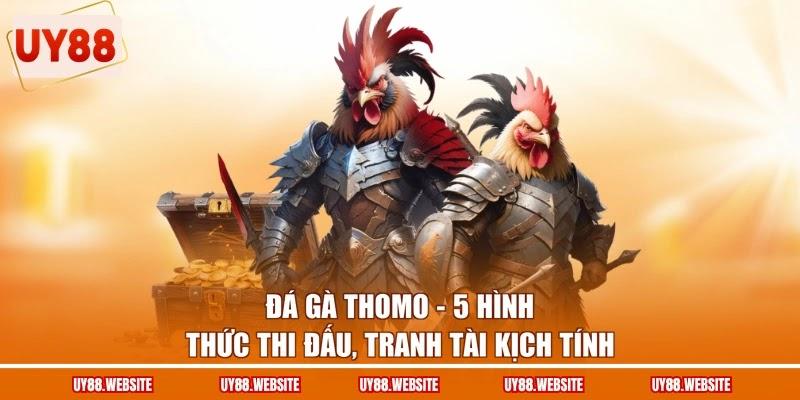 Đá Gà Thomo - 5 Hình Thức Thi Đấu, Tranh Tài Kịch Tính 1 Đá Gà Thomo - 5 Hình Thức Thi Đấu, Tranh Tài Kịch Tính
